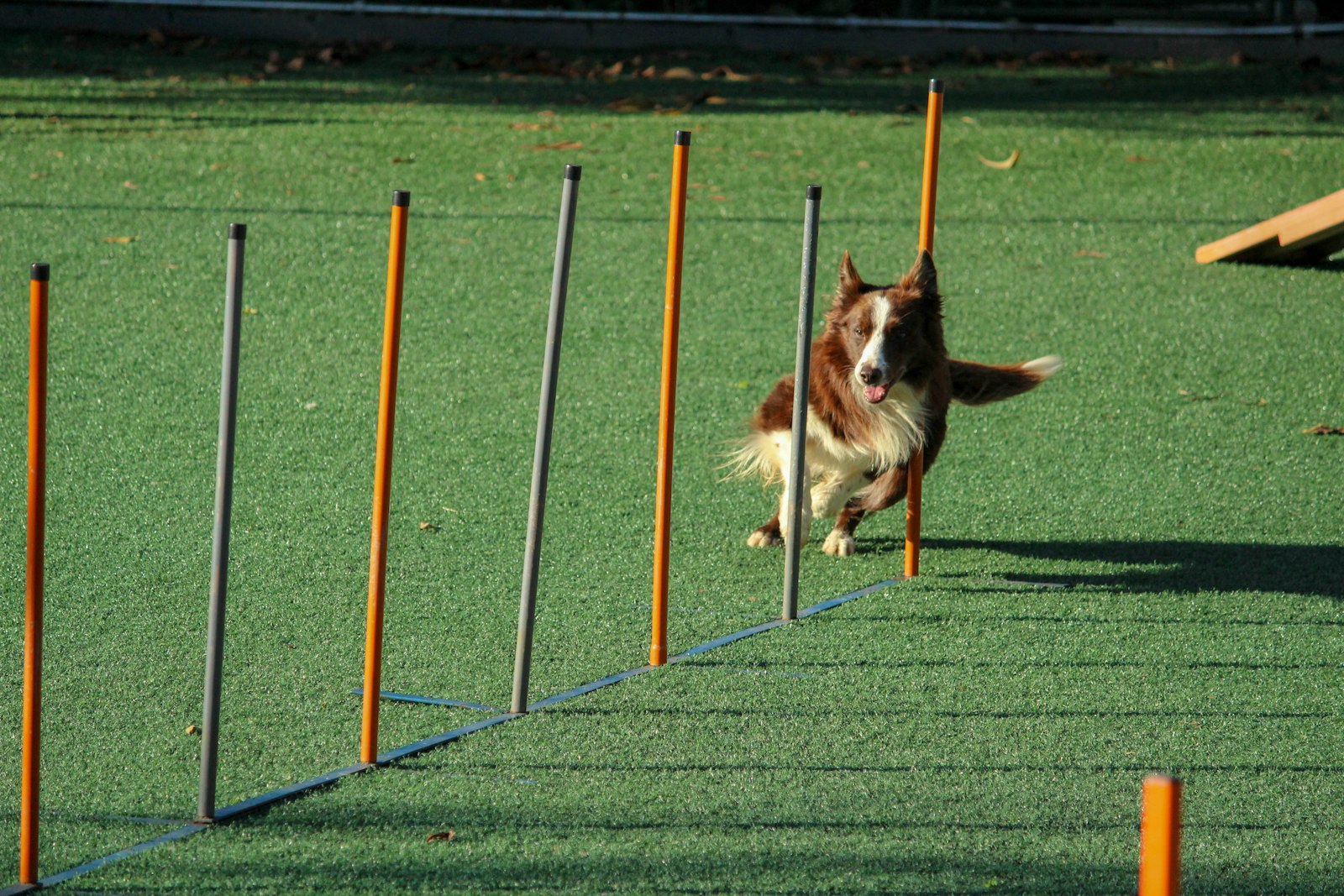 Slalom